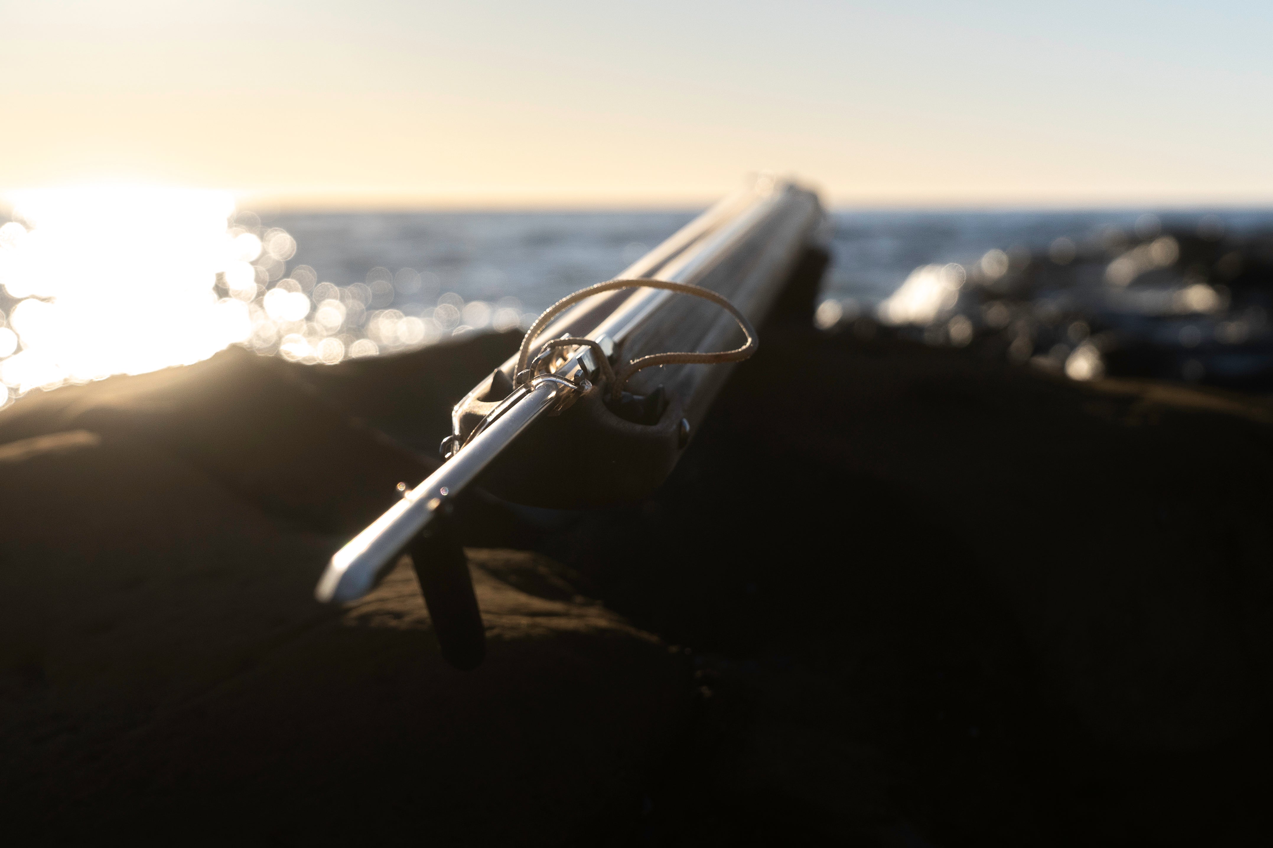 Roller Spearguns